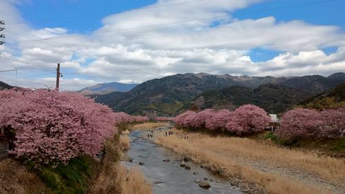 ポーランド軍幕会  中津川河川敷 グループキャンプ フリーサイト ウエィダーさんのキャンプブログ CAMPiii（キャンピー） -キャンプ専用SNS キャンプのすべてがここに集まる-