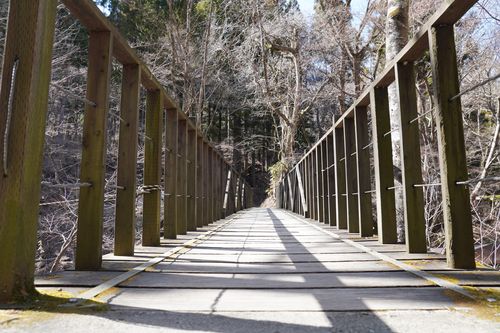 道志の住人 道志の森キャンプ場 ソロキャンプ フリーサイト 週末スナフキンさんのキャンプブログ CAMPiii（キャンピー） -キャンプ専用SNS キャンプのすべてがここに集まる-