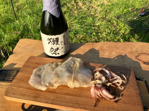 鳥取スゴッ! もう砂漠じゃん 行ったことないけどw 西のふもとっぱらMasumizu天空キャンプ場 ソロキャンプ フリーサイト けんじさんのキャンプブログ CAMPiii(キャンピー) -キャンプ専用SNS キャンプのすべてがここに集まる-