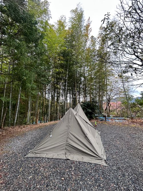 花見キャンプのはずなのに🤔 伊豆キャンパーズヴィレッジ ソロキャンプ フリーサイト Genさんのキャンプブログ CAMPiii（キャンピー） -キャンプ専用SNS キャンプのすべてがここに集まる-