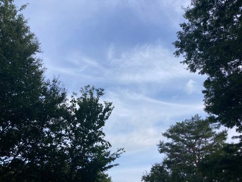 避暑地に逃げる！！ もみのき森林公園 ファミリーキャンプ 区画サイト オートサイト masaさんのキャンプブログ CAMPiii（キャンピー） -キャンプ専用SNS キャンプのすべてがここに集まる-