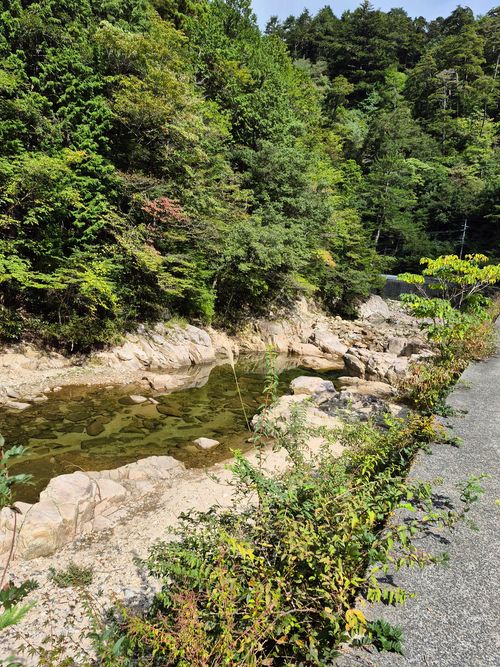県外キャンプ２回目！ もみのき森林公園 ファミリーキャンプ 区画サイト オートサイト KSKさんのキャンプブログ CAMPiii（キャンピー） -キャンプ専用SNS キャンプのすべてがここに集まる-