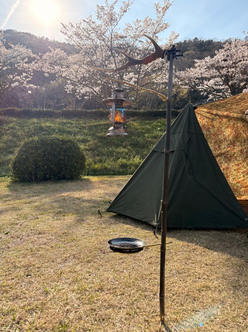 春爛漫🌸Camp♪♪ 宮川内公園 ファミリーキャンプ フリーサイト camping roll♪さんのキャンプブログ CAMPiii（キャンピー） -キャンプ専用SNS キャンプのすべてがここに集まる-