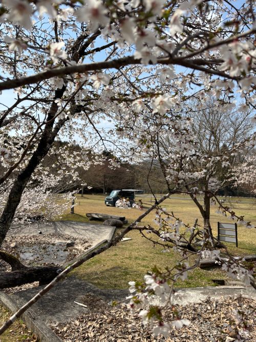 中伊豆へ！ LScamp中伊豆 ソロキャンプ オートサイト 区画サイト marpyさんのキャンプブログ CAMPiii（キャンピー） -キャンプ専用SNS キャンプのすべてがここに集まる-