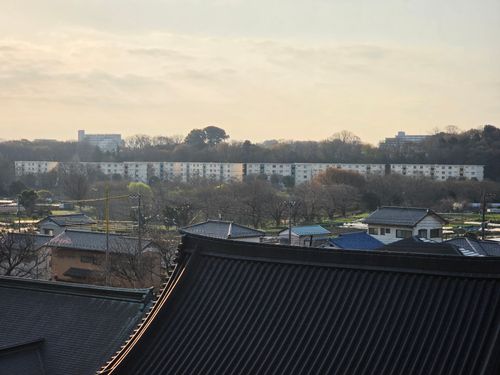 オッサン、清瀬に帰る 清瀬金山緑地公園 ソロキャンプ フリーサイト やんさんのキャンプブログ CAMPiii（キャンピー） -キャンプ専用SNS キャンプのすべてがここに集まる-