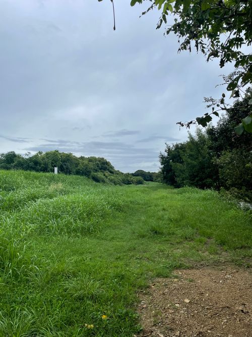 原点回帰、清瀬徒歩キャン 清瀬金山緑地公園河原 ソロキャンプ フリーサイト もるがんさんのキャンプブログ CAMPiii(キャンピー) -キャンプ専用SNS キャンプのすべてがここに集まる-