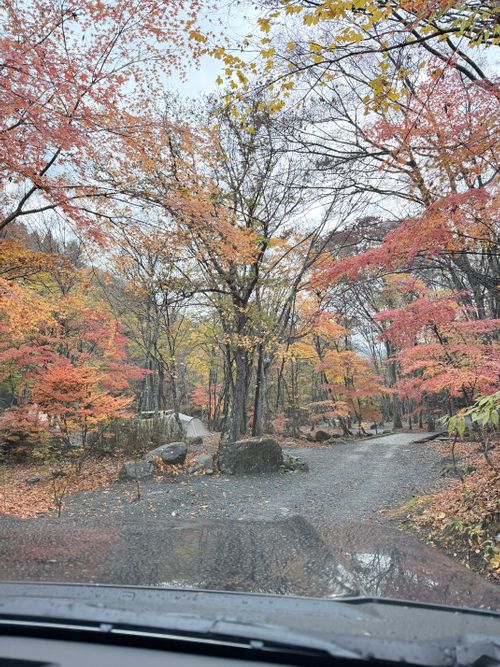 紅葉の山伏グルキャン 山伏オートキャンプ場 グループキャンプ 区画サイト atelierさんのキャンプブログ CAMPiii（キャンピー） -キャンプ専用SNS キャンプのすべてがここに集まる-