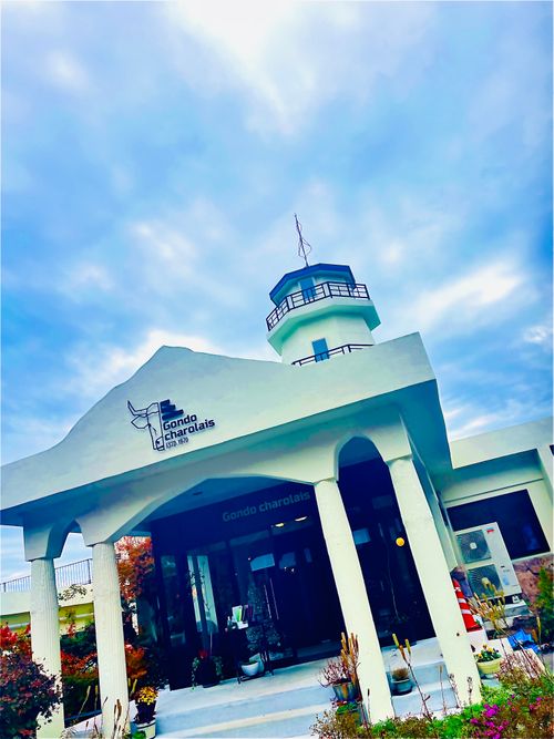 念願だった初・阿蘇(熊本)の秋を楽しむおじおばうさキャン△ in ゴンドーシャロレー 〜 CAMP NO.163 ゴンドーシャロレー ファミリーキャンプ グループキャンプ 区画サイト おじキャン△さんのキャンプブログ CAMPiii（キャンピー） -キャンプ専用SNS キャンプのすべてがここに集まる-