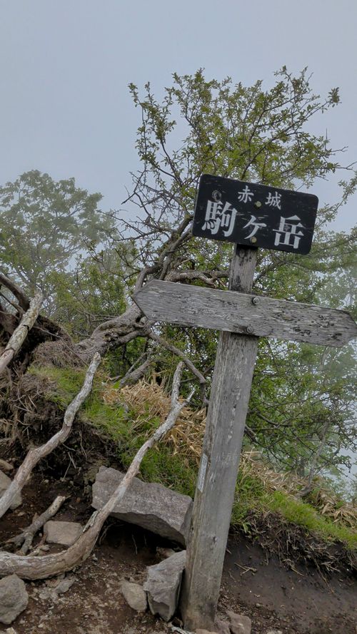 吸われてない ソロキャンプ 区画サイト オートサイト フリーサイト IZUIZUさんのキャンプブログ CAMPiii（キャンピー） -キャンプ専用SNS キャンプのすべてがここに集まる-