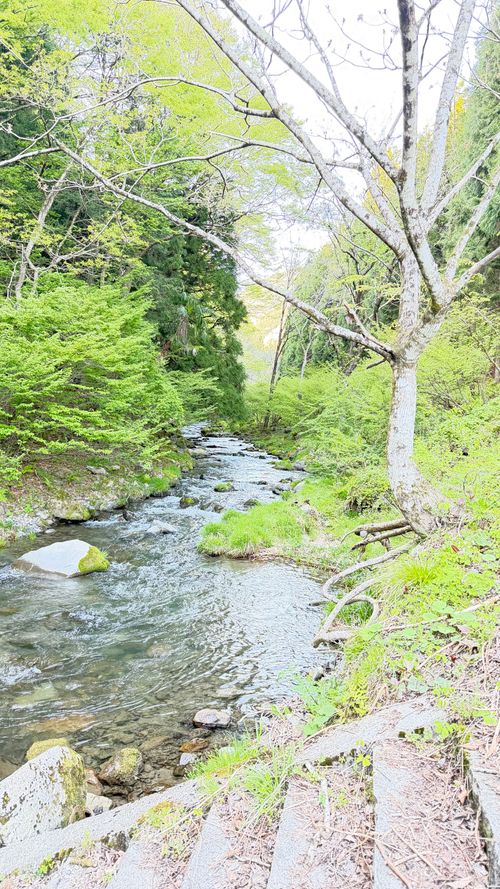 キャンプ日和 春キャン 滝と渓流の高山キャンプ場 グループキャンプ 区画サイト tani3さんのキャンプブログ CAMPiii（キャンピー） -キャンプ専用SNS キャンプのすべてがここに集まる-