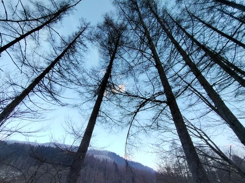 雪中が好きです 飛騨荘川 一色の森キャンプ場 ソロキャンプ グループキャンプ 区画サイト オートサイト たかたかぽんたさんのキャンプブログ CAMPiii（キャンピー） -キャンプ専用SNS キャンプのすべてがここに集まる-