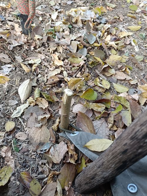 第3陣は忘れ物祭り りょっちゃんの秘密基地 ソロキャンプ フリーサイト オートサイト Kazu Aさんのキャンプブログ CAMPiii（キャンピー） -キャンプ専用SNS キャンプのすべてがここに集まる-