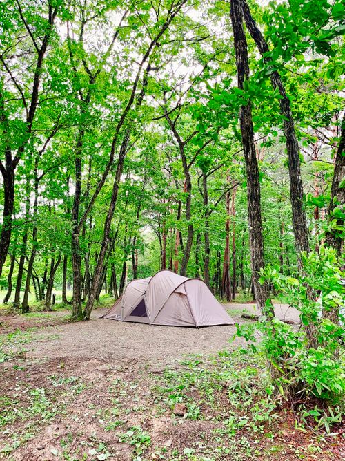 もう雪景色はおなかいっぱい&hellip;なので、現実逃避【備忘録】 エンゼルフォレスト那須白河｜ペットと泊まれる宿 Oniyomeさんのキャンプブログ CAMPiii（キャンピー） -キャンプ専用SNS キャンプのすべてがここに集まる-