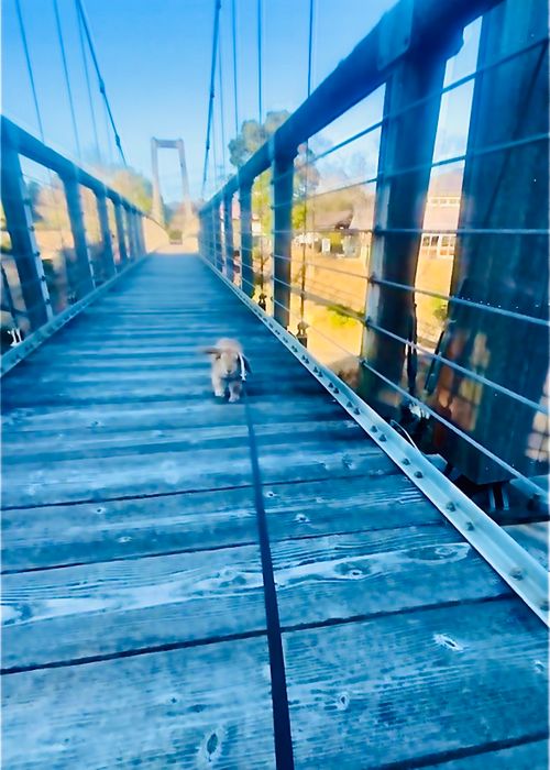 俺たち迷惑キャンパー！？失意のおじおばうさキャン△ in 豊田湖畔公園キャンプ場 豊田湖畔公園キャンプ場 ファミリーキャンプ グループキャンプ 区画サイト おじキャン△さんのキャンプブログ CAMPiii（キャンピー） -キャンプ専用SNS キャンプのすべてがここに集まる-