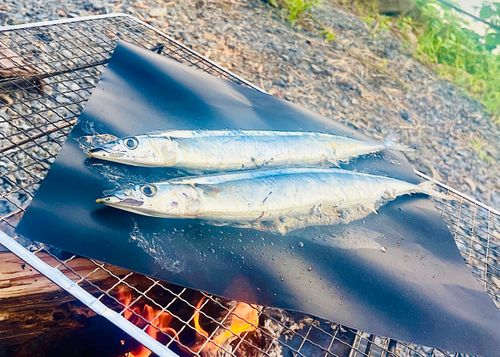『キャンプは心の栄養よ❤️』お疲れのおじおばうさキャン△ in かじかじテラスCAMPFIELD 〜　CAMP NO.153 かじかじテラスcampfield ファミリーキャンプ グループキャンプ 区画サイト おじキャン△さんのキャンプブログ CAMPiii（キャンピー） -キャンプ専用SNS キャンプのすべてがここに集まる-