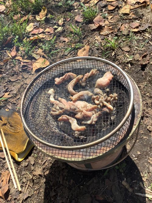 Vol.124 26/NO.14 お肉焼きに行く‼️ 坂戸市 ソロキャンプ フリーサイト 🔥焚き火🔥さんのキャンプブログ CAMPiii（キャンピー） -キャンプ専用SNS キャンプのすべてがここに集まる-