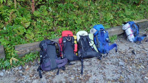 紅葉🍁登山 涸沢カール ソロキャンプ グループキャンプ フリーサイト まーささんのキャンプブログ CAMPiii（キャンピー） -キャンプ専用SNS キャンプのすべてがここに集まる-