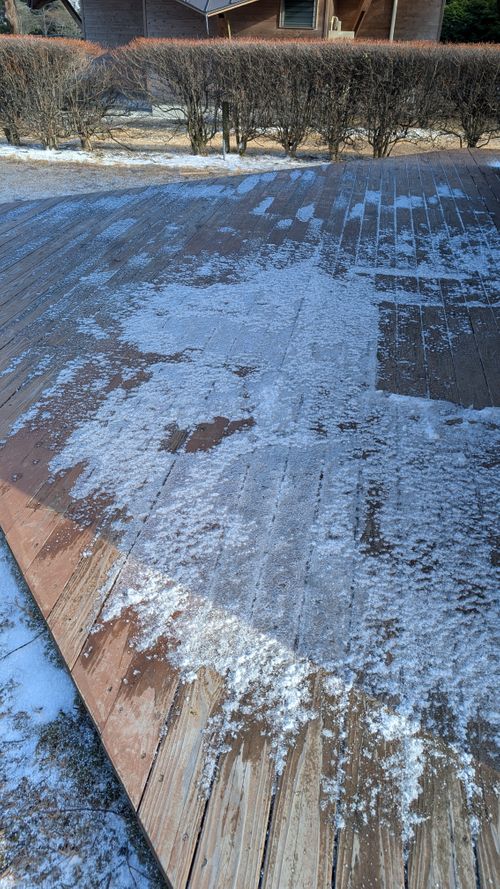 2026年キャンプ始め🎍爆風けん玉合宿🏕️ ひなもりオートキャンプ場 ファミリーキャンプ ヒゲキャンさんのキャンプブログ CAMPiii（キャンピー） -キャンプ専用SNS キャンプのすべてがここに集まる-