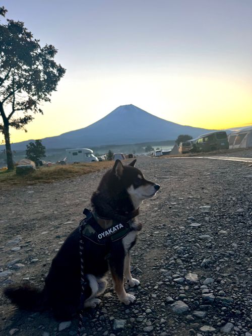 最高の天気だったふもとっぱらキャンプ ふもとっぱらキャンプ場 グループキャンプ フリーサイト OYAKATAさんのキャンプブログ CAMPiii（キャンピー） -キャンプ専用SNS キャンプのすべてがここに集まる-