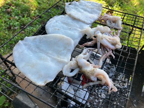 鳥取スゴッ! もう砂漠じゃん 行ったことないけどw 西のふもとっぱらMasumizu天空キャンプ場 ソロキャンプ フリーサイト けんじさんのキャンプブログ CAMPiii(キャンピー) -キャンプ専用SNS キャンプのすべてがここに集まる-