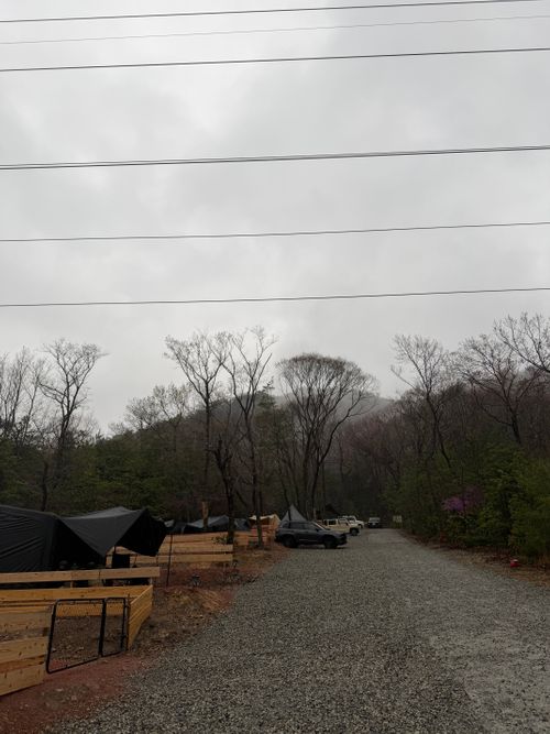 雨だ🌧キャンプに行こう🏕 やはずの森倶楽部 ファミリーキャンプ オートサイト ぐうたら夫婦さんのキャンプブログ CAMPiii（キャンピー） -キャンプ専用SNS キャンプのすべてがここに集まる-