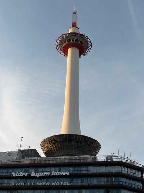 老人2人とピクニック 湖岸緑地 志那1 ファミリーキャンプ フリーサイト 美味しいご飯が食べたい！！さんのキャンプブログ CAMPiii（キャンピー） -キャンプ専用SNS キャンプのすべてがここに集まる-