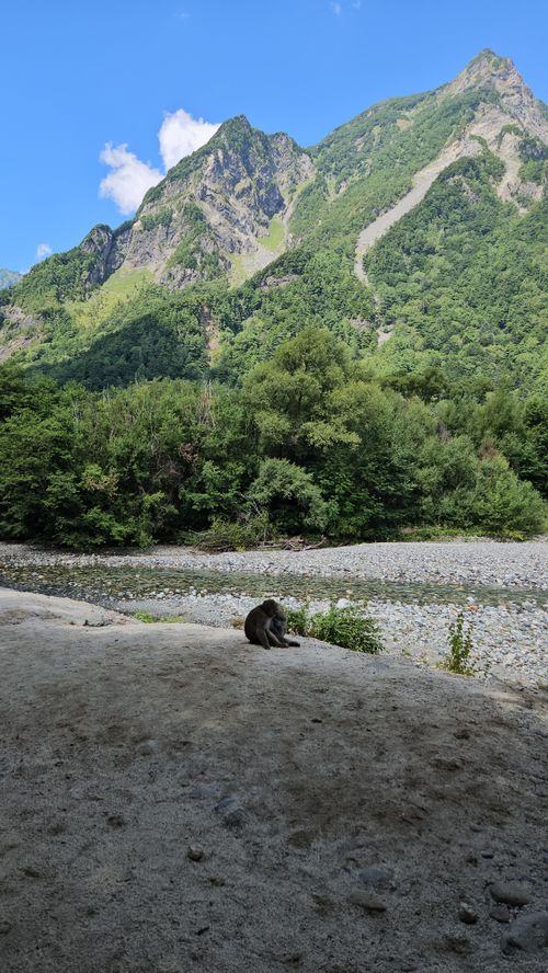 霧ヶ峰~金峰山~上高地 長野県 ソロキャンプ グループキャンプ 区画サイト オートサイト フリーサイト IZUIZUさんのキャンプブログ CAMPiii(キャンピー) -キャンプ専用SNS キャンプのすべてがここに集まる-