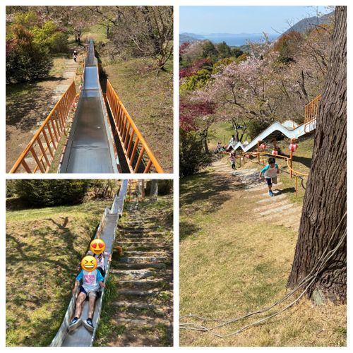 2026年5回目、イルカキャン🐬 ドルフィンファームしまなみ ファミリーキャンプ 区画サイト オートサイト わいげさんのキャンプブログ CAMPiii（キャンピー） -キャンプ専用SNS キャンプのすべてがここに集まる-