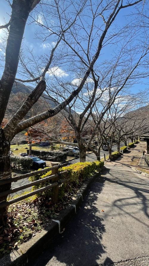 晩秋の大原湖 ふれあいパーク大原湖 ファミリーキャンプ 区画サイト オートサイト フォレキャンさんのキャンプブログ CAMPiii（キャンピー） -キャンプ専用SNS キャンプのすべてがここに集まる-