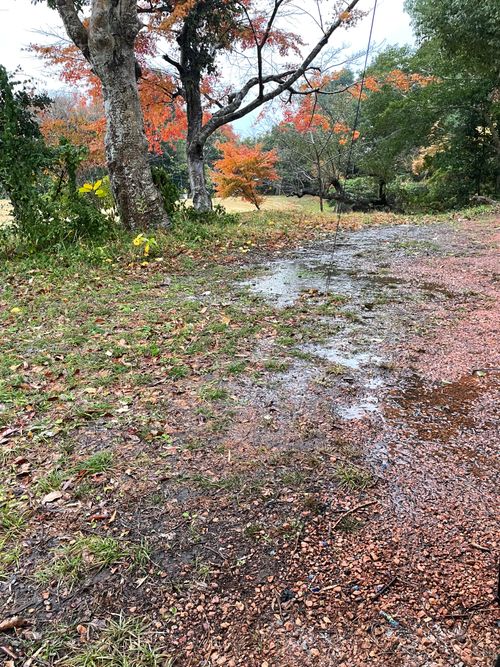 千葉の東浪見にあるTORAMIキャンプ場でデュオキャンプ！ Campsite TORAMI(一宮町東浪見,「旧秋場家住宅」) ソロキャンプ グループキャンプ フリーサイト 区画サイト ma9さんのキャンプブログ CAMPiii（キャンピー） -キャンプ専用SNS キャンプのすべてがここに集まる-