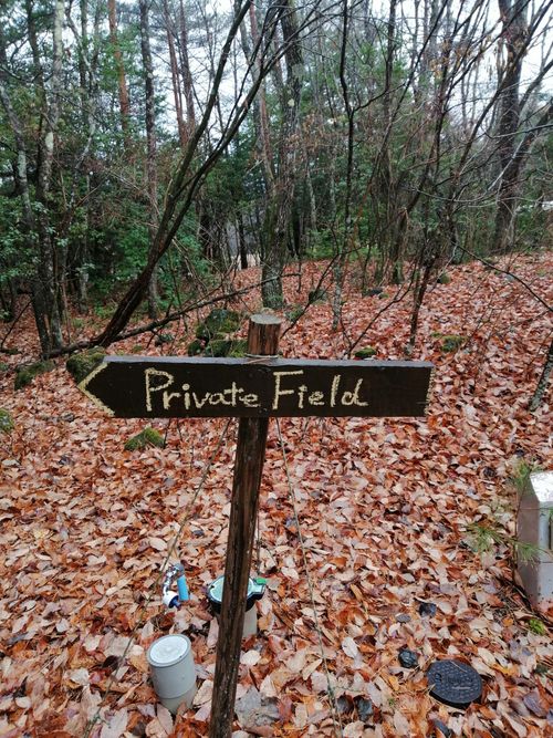 CAMPiii(キャンピー) アニさんのキャンプブログ 今回もPICA富士西湖 PICA富士西湖