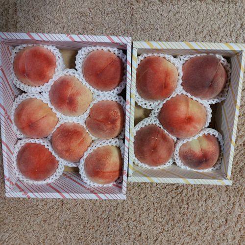 雨だけどお得🉐 PICA富士吉田 ファミリーキャンプ オートサイト こば  さんのキャンプブログ CAMPiii（キャンピー） -キャンプ専用SNS キャンプのすべてがここに集まる-