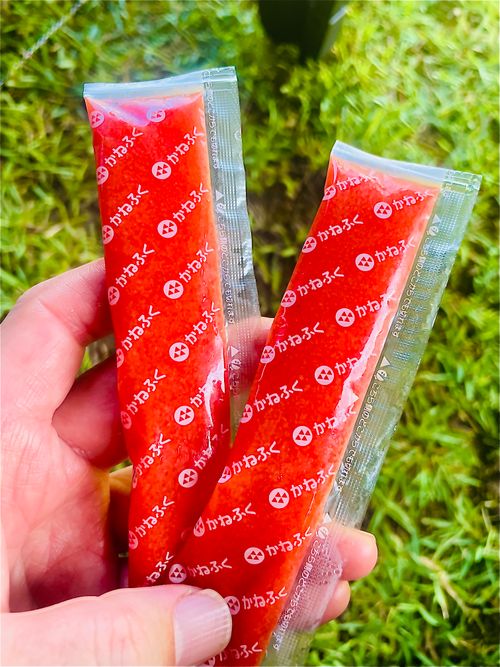 初めてのキャンプ場?でおじうさ+○○キャン△ in 阿川ほうせんぐり海浜公園 〜 CAMP NO.149 阿川ほうせんぐり海浜公園 ソロキャンプ ファミリーキャンプ フリーサイト おじキャン△さんのキャンプブログ CAMPiii(キャンピー) -キャンプ専用SNS キャンプのすべてがここに集まる-