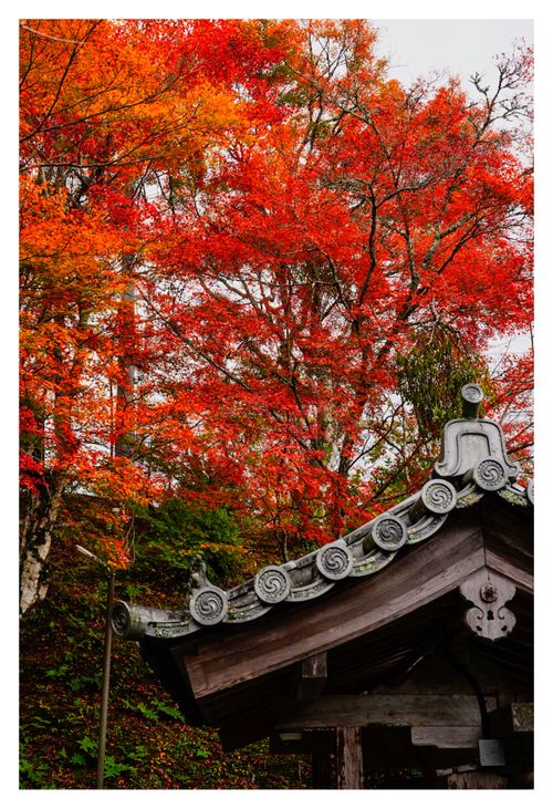 全国旅キャンプ第11弾は京都編 笠置キャンプ場 ソロキャンプ ファミリーキャンプ グループキャンプ フリーサイト ENJOY THE OUTDOORSさんのキャンプブログ CAMPiii（キャンピー） -キャンプ専用SNS キャンプのすべてがここに集まる-