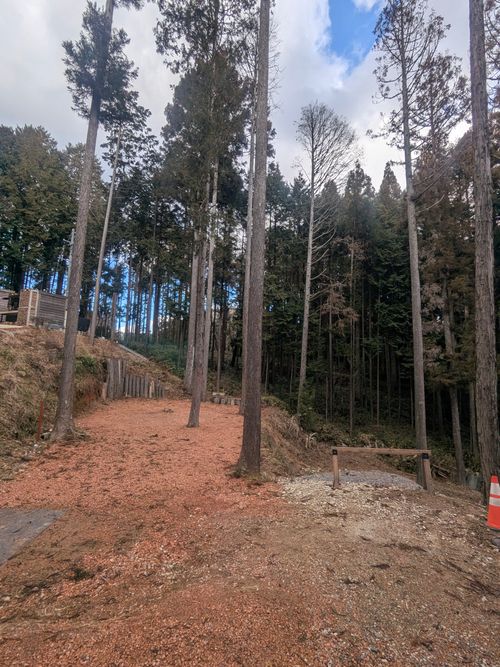 2026初キャンプ！SnowCamp withCAT！ the veg out ソロキャンプ グループキャンプ 区画サイト オートサイト ちあさんのキャンプブログ CAMPiii（キャンピー） -キャンプ専用SNS キャンプのすべてがここに集まる-