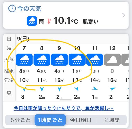 修行Camp REWILD MUSIC FES CAMP(リワイルドミュージックフェスキャンプ) ｜千葉・勝浦で音楽キャンプ＆グランピング グループキャンプ ファミリーキャンプ 区画サイト つばぱさんのキャンプブログ CAMPiii（キャンピー） -キャンプ専用SNS キャンプのすべてがここに集まる-