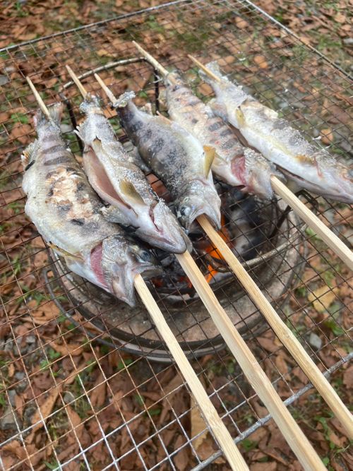 夏の思ひ出✨ぽろぽろ 徳島県 グループキャンプ フリーサイト camping roll♪さんのキャンプブログ CAMPiii(キャンピー) -キャンプ専用SNS キャンプのすべてがここに集まる-