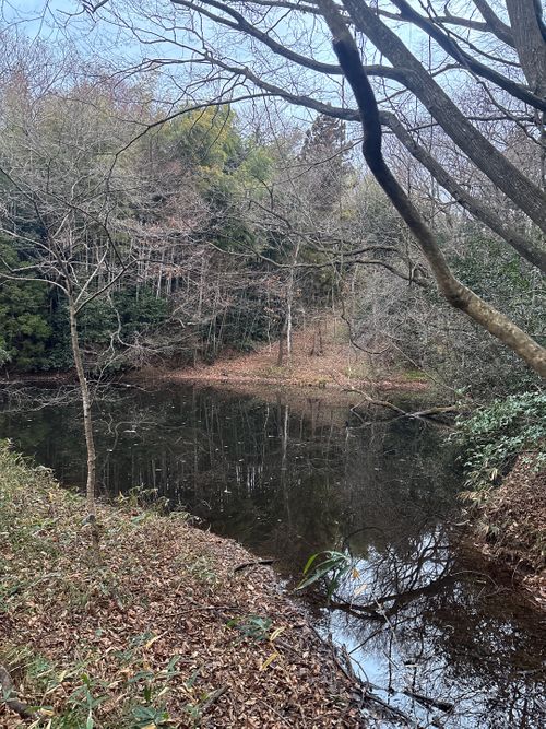 🎊新規キャンプ場オープン🎉🎉🎉 紫星の森 Oniyomeさんのキャンプブログ CAMPiii（キャンピー） -キャンプ専用SNS キャンプのすべてがここに集まる-