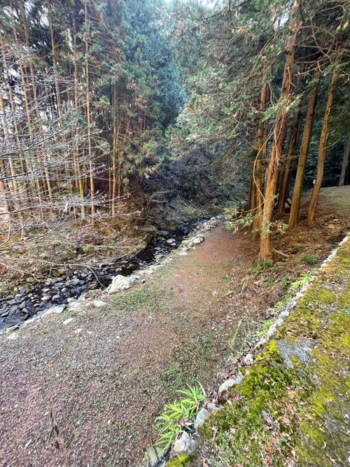 今年の締めキャン！徒歩ソロで行く大岳キャンプ場。徒歩の限界と大トラブルの旅 大岳キャンプ場 上流サイト ソロキャンプ フリーサイト ma9さんのキャンプブログ CAMPiii（キャンピー） -キャンプ専用SNS キャンプのすべてがここに集まる-