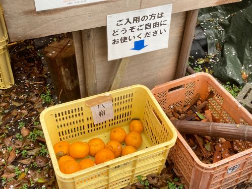 ☔︎雨キャン☔︎ かじかじテラスcampfield ファミリーキャンプ 区画サイト オートサイト masaさんのキャンプブログ CAMPiii（キャンピー） -キャンプ専用SNS キャンプのすべてがここに集まる-