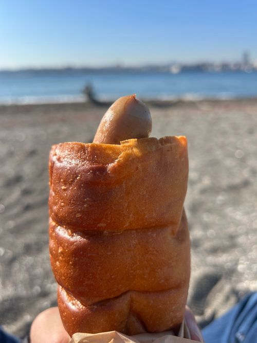 東京湾に残された唯一の自然島にてチェアリング 猿島 ソロキャンプ フリーサイト Genさんのキャンプブログ CAMPiii（キャンピー） -キャンプ専用SNS キャンプのすべてがここに集まる-