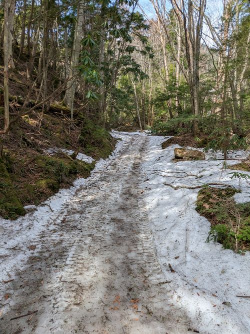ちくいち (標高約1200m)(オートフリーサイト4500円) 内山牧場 ソロキャンプ グループキャンプ フリーサイト オートサイト IZUIZUさんのキャンプブログ CAMPiii（キャンピー） -キャンプ専用SNS キャンプのすべてがここに集まる-