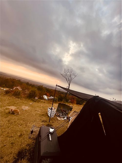 念願だった初・阿蘇(熊本)の秋を楽しむおじおばうさキャン△ in ゴンドーシャロレー 〜 CAMP NO.163 ゴンドーシャロレー ファミリーキャンプ グループキャンプ 区画サイト おじキャン△さんのキャンプブログ CAMPiii（キャンピー） -キャンプ専用SNS キャンプのすべてがここに集まる-