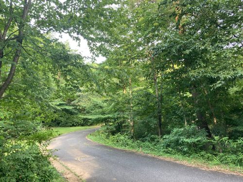 避暑地に逃げる！！ もみのき森林公園 ファミリーキャンプ 区画サイト オートサイト masaさんのキャンプブログ CAMPiii（キャンピー） -キャンプ専用SNS キャンプのすべてがここに集まる-