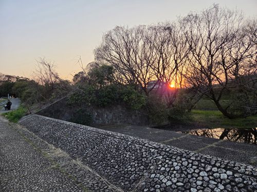 オッサン、清瀬に帰る 清瀬金山緑地公園 ソロキャンプ フリーサイト やんさんのキャンプブログ CAMPiii（キャンピー） -キャンプ専用SNS キャンプのすべてがここに集まる-