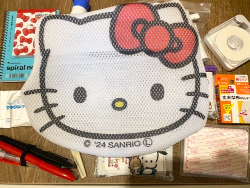 キャプテン用災害用救急セット🚑 ねこ🐈&zwj;⬛さんのキャンプブログ CAMPiii（キャンピー） -キャンプ専用SNS キャンプのすべてがここに集まる-