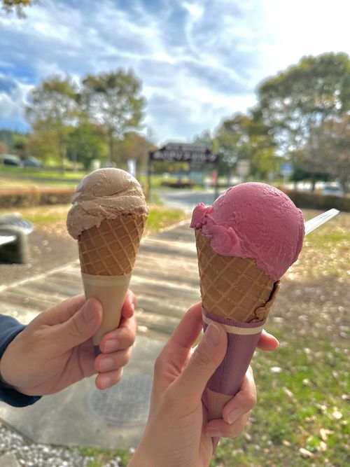 ふもとっぱらキャンプ場 ふもとっぱらキャンプ場 ファミリーキャンプ フリーサイト あやぴさんのキャンプブログ CAMPiii(キャンピー) -キャンプ専用SNS キャンプのすべてがここに集まる-