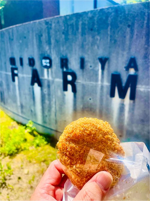 ほっ、ほっ、ほ〜たる来い💕 おじうさグルキャン△ in 阿武川河川敷 〜 CAMP NO.193 川上 ソロキャンプ ファミリーキャンプ グループキャンプ フリーサイト おじキャン△さんのキャンプブログ CAMPiii（キャンピー） -キャンプ専用SNS キャンプのすべてがここに集まる-