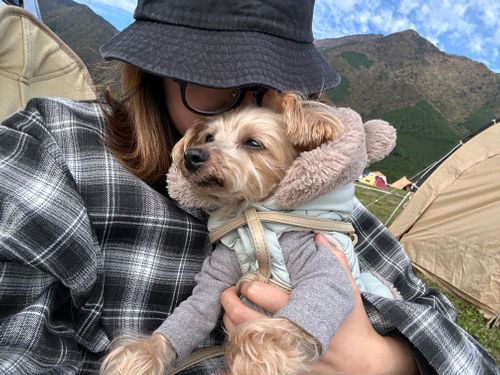 ふもとっぱらキャンプ場 ふもとっぱらキャンプ場 ファミリーキャンプ フリーサイト あやぴさんのキャンプブログ CAMPiii(キャンピー) -キャンプ専用SNS キャンプのすべてがここに集まる-