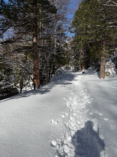 冬の上高地は寒かった。 上高地森のリゾート小梨 ソロキャンプ フリーサイト シルバーズさんのキャンプブログ CAMPiii（キャンピー） -キャンプ専用SNS キャンプのすべてがここに集まる-